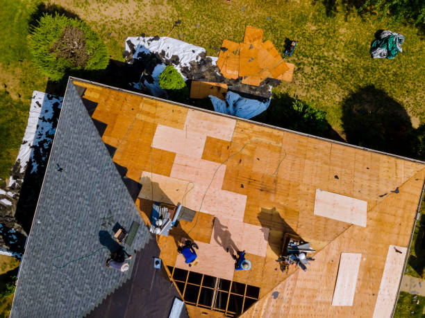 Best Roof Restoration Services  in Oakwood, GA