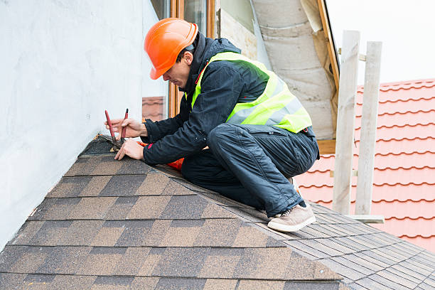 Best Sealant for Roof  in Oakwood, GA